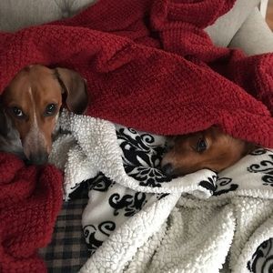 Meet your Posher, Donna